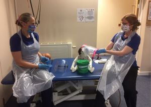 two therapists with visors, gloves and aprons